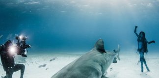 foto: Shawn Heinrichs