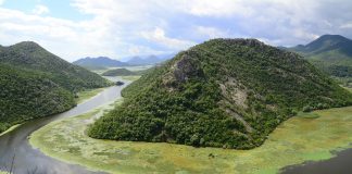 Skadarsko jezero / FOTO: Damir Zurub