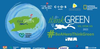 Think Green – Vis 2022