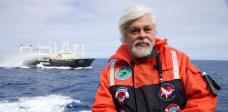 Paul Watson / Photo by Barbara Veiga