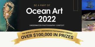 Ocean Art 2022