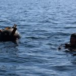 Ronioci uništavaju plutajuće mine u Crnom moru