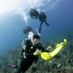 Dive Surface Marker Buoys