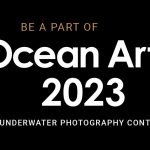 Otvorene prijave za Ocean Art 2023